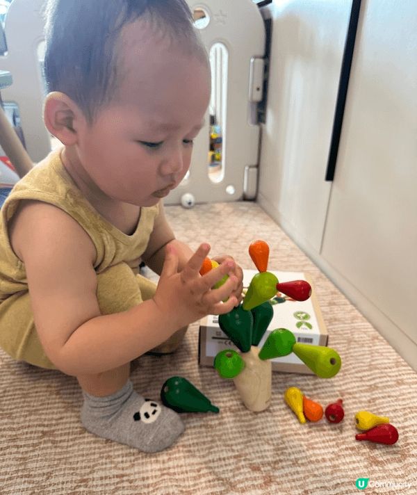 買咗盒德國嘅智力仙人掌積木畀10個月大嘅BB玩，佢對手仔肉嘟...