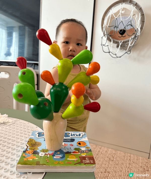 買咗盒德國嘅智力仙人掌積木畀10個月大嘅BB玩，佢對手仔肉嘟...