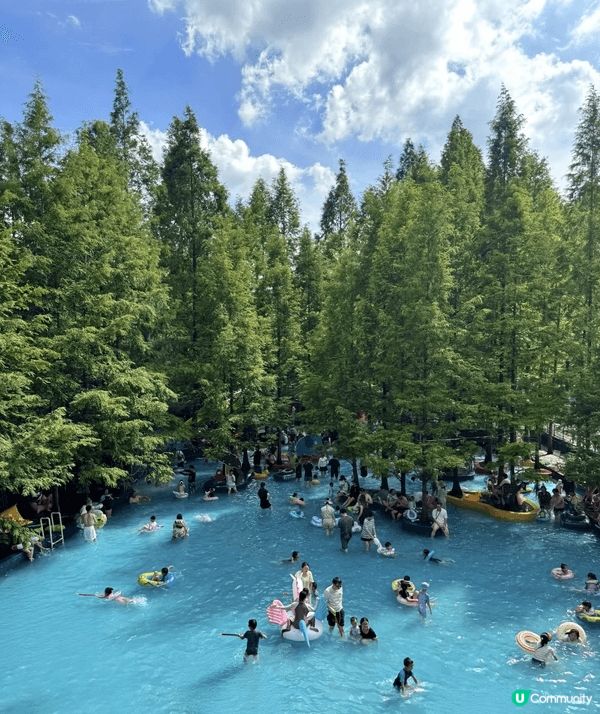 近期我最愛嘅森林水樂園！🌳 就喺湖州嘅「布布熊生態農場」，杭...