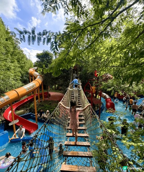 近期我最愛嘅森林水樂園！🌳 就喺湖州嘅「布布熊生態農場」，杭...