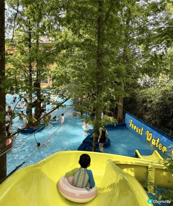 近期我最愛嘅森林水樂園！🌳 就喺湖州嘅「布布熊生態農場」，杭...
