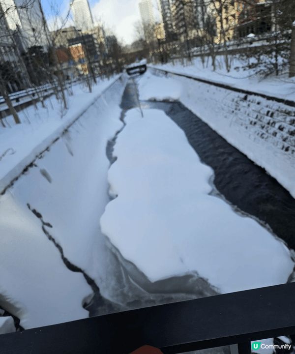 日本北海道大風雪食鱈場蟹。