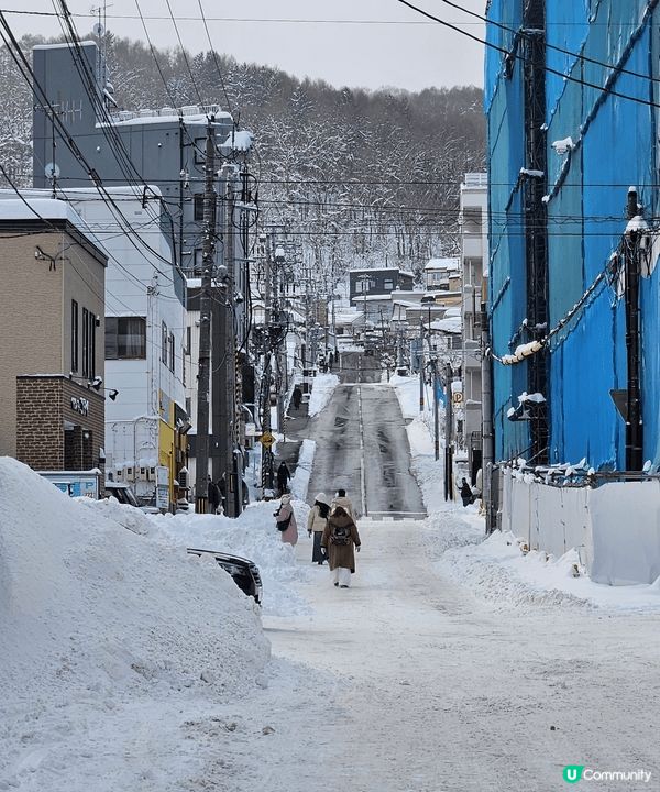日本北海道大風雪食鱈場蟹。