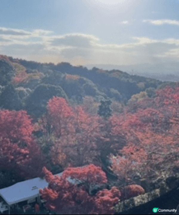 11月尾嘅京都之旅，好感動仲有好多紅葉同埋銀杏，所以行神社同...