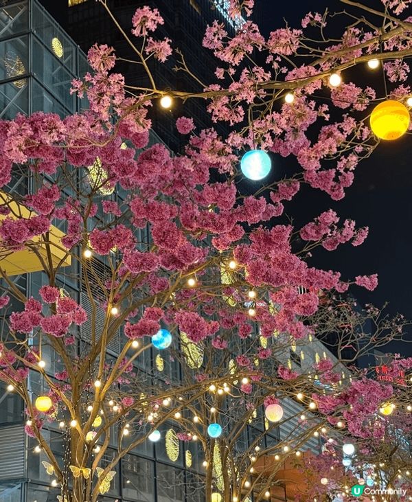 深圳灣夜景真係好靚,，喺海邊望過去，高樓一棟棟，著滿晒燈，好...