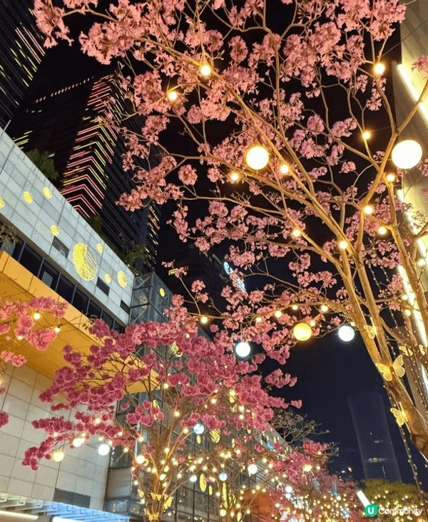 深圳灣夜景真係好靚,，喺海邊望過去，高樓一棟棟，著滿晒燈，好...