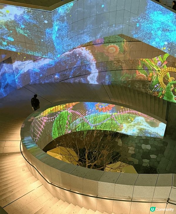 深圳灣夜景真係好靚,，喺海邊望過去，高樓一棟棟，著滿晒燈，好...