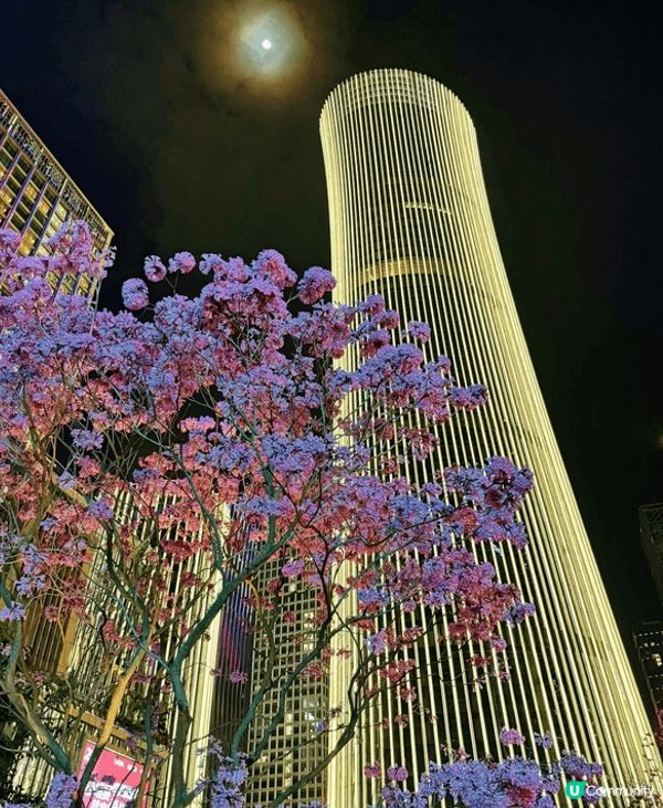 深圳灣夜景真係好靚,，喺海邊望過去，高樓一棟棟，著滿晒燈，好...