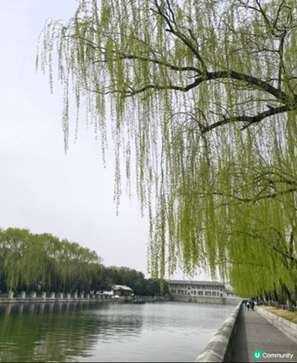 這次旅行是在北京，首次回到國內旅行。有到北京故宮感受當中嘅宏...