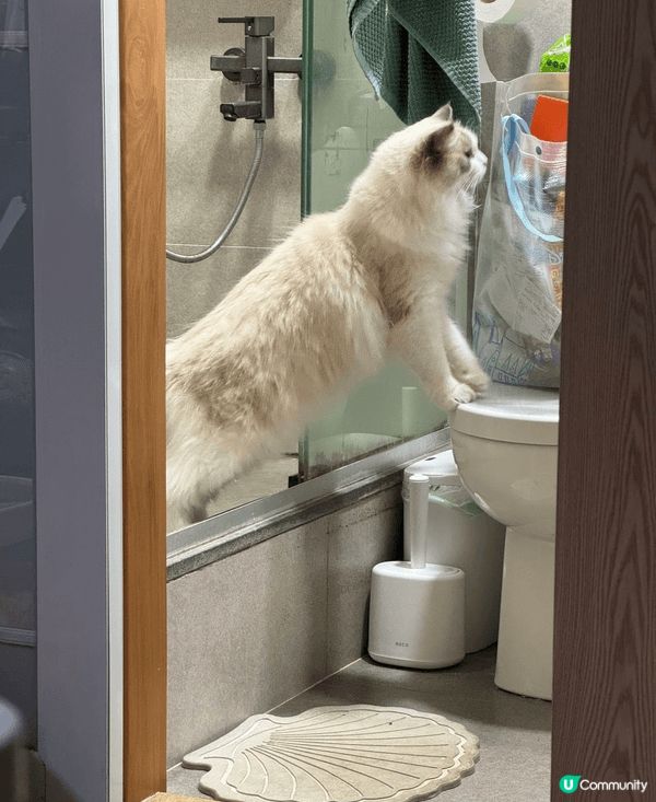 成日通屋爬來爬去 又成日出街玩 滋潤下腳掌影啲相出嚟都靚啲❤...