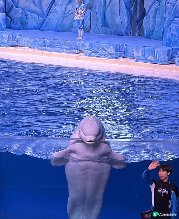 聖誕節去珠海海洋王國一天遊，大人小朋友都好適合既地方，地方夠...