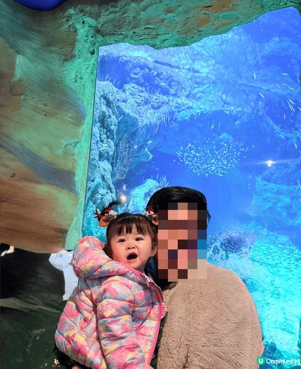 聖誕節去珠海海洋王國一天遊，大人小朋友都好適合既地方，地方夠...