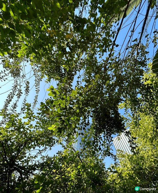 上星期去佛山公幹，忙完正事後，特登去咗順德嘅和美術館打卡！ ...