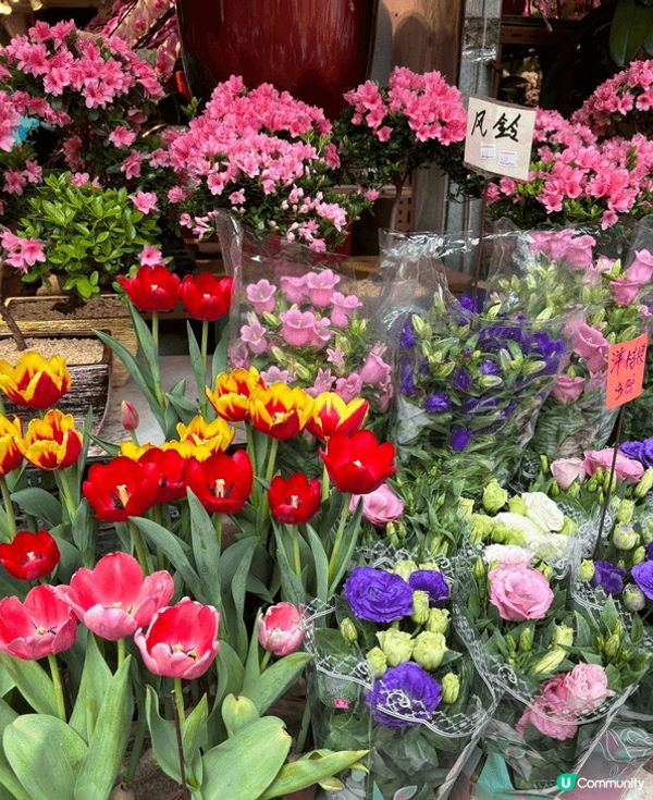 新年行花墟，人頭湧湧好熱鬧。繡球花、水仙、五代同堂，百花齊放...