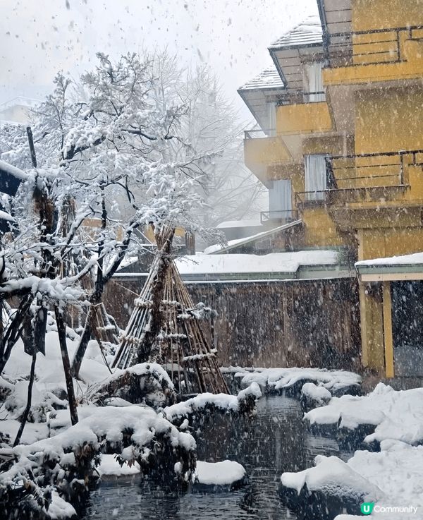 作為一個每年都要去日本滑雪嘅愛好者，呢次喺新潟越後湯澤住到夢...