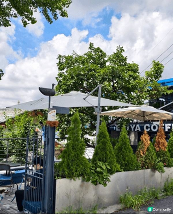 首爾梨花洞壁畫村真係一個隱世打卡勝地，地鐵惠化站行過去就好方...