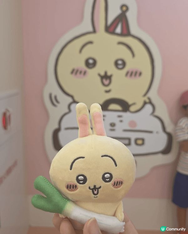 偶然一次機會下看到 Chiikawa 其中兔兔角色，加上透過...