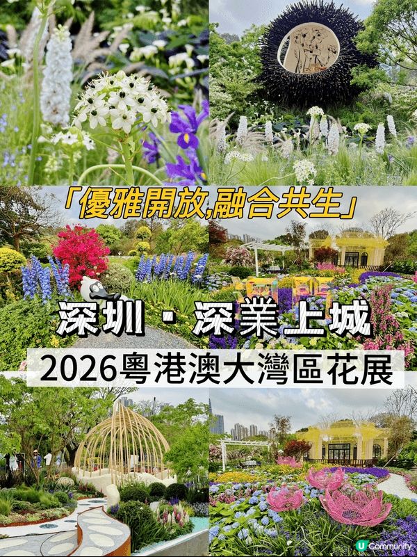 去新酒店staycation