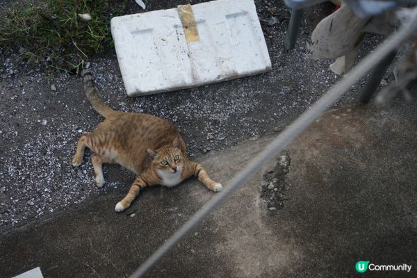 A good place for sunset & phot...