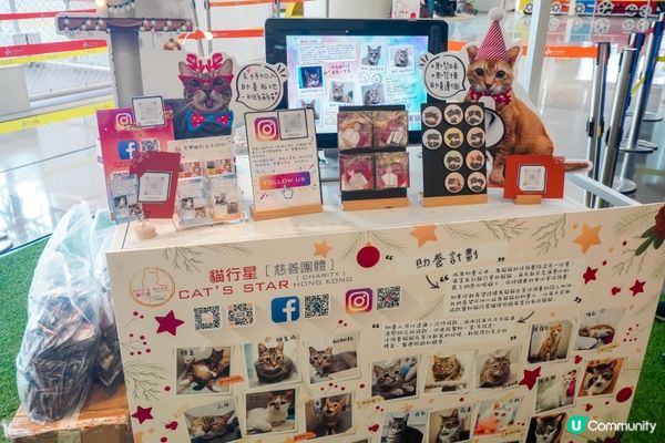 【Garden of The Euphonious慈善展覽】