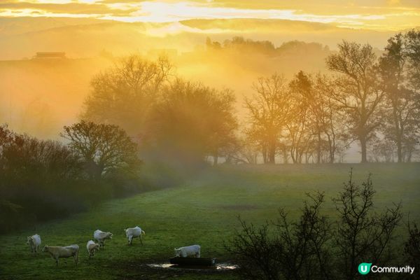 法國鄉村的一個清晨