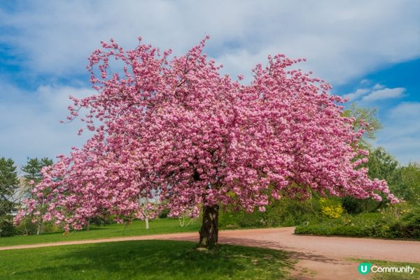 #Chill嘆酒店旅人祭  #別要再蝨眠