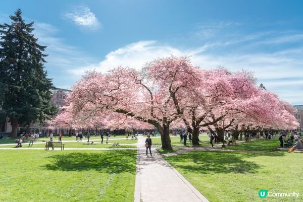 #Chill嘆酒店旅人祭  #別要再蝨眠