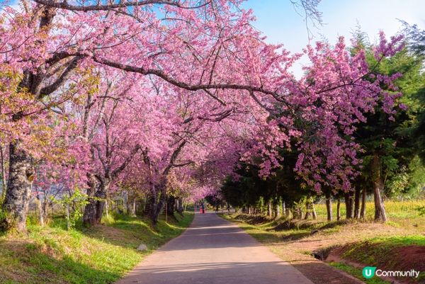 #Chill嘆酒店旅人祭  #別要再蝨眠