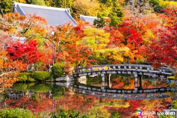 2022 京都紅葉 - 景點相片