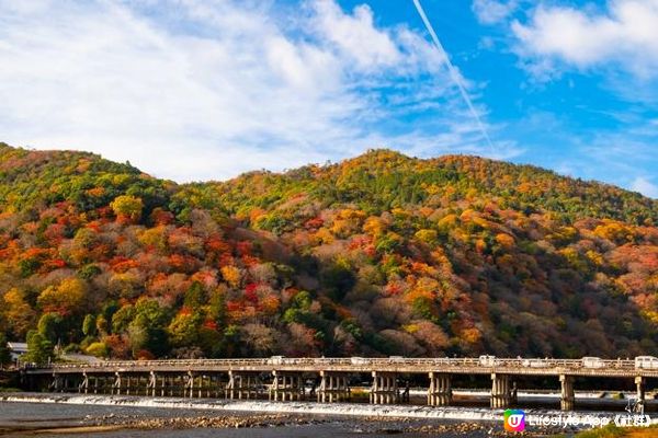 2022 京都紅葉 - 景點相片