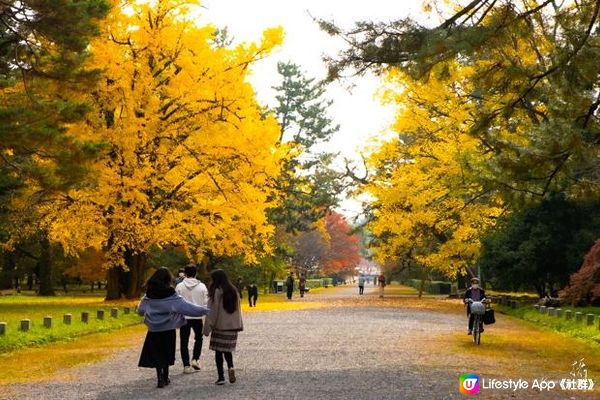 2022 京都紅葉 - 景點相片