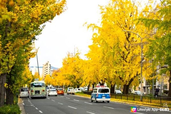 2022 京都紅葉 - 景點相片