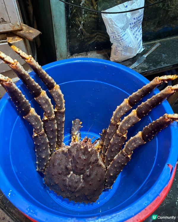 冇得頂5斤幾既長腳蟹🩷