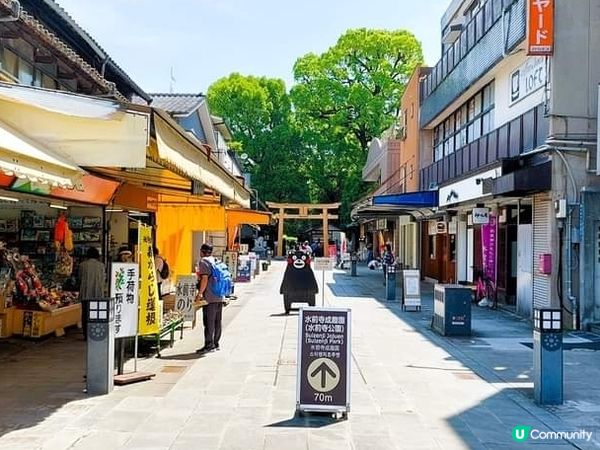 綠色小庭園~『水前寺成趣園』 走走也不錯