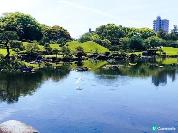 綠色小庭園~『水前寺成趣園』 走走也不錯