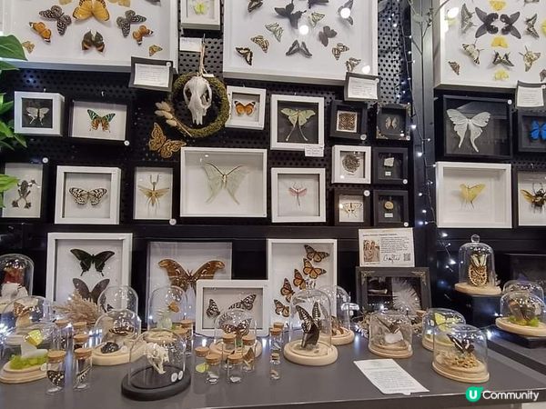 [西澳景點］Origins Market Busselton