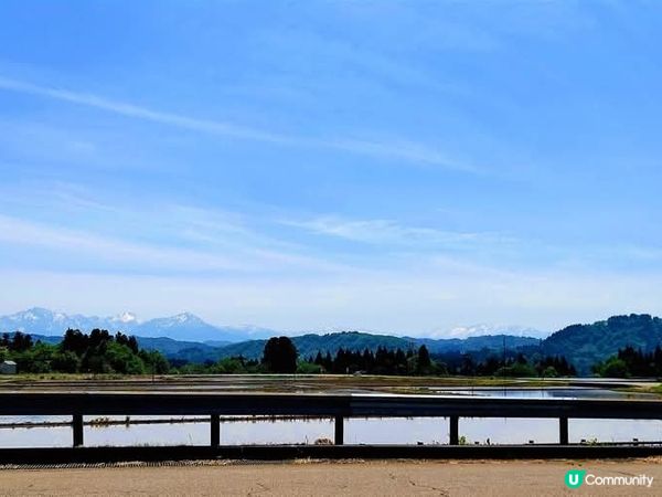 新潟插秧季開始啦🌾