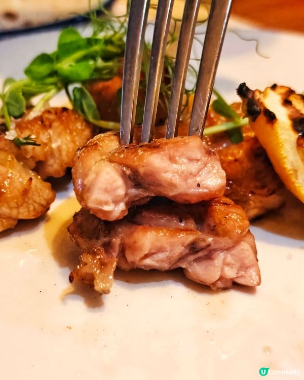 抵食👍Tasting🍽️Menu