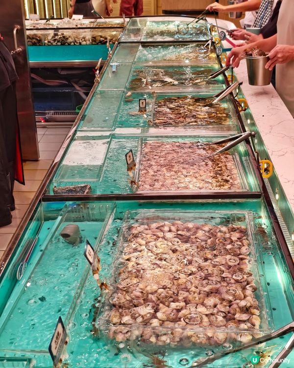 頂流👍海鮮🦀火鍋🦪放題