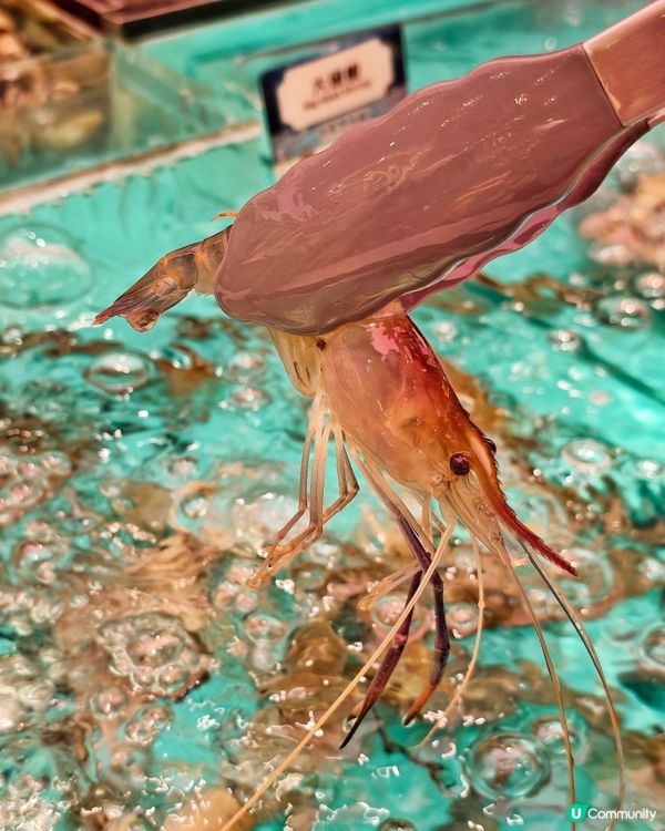 頂流👍海鮮🦀火鍋🦪放題