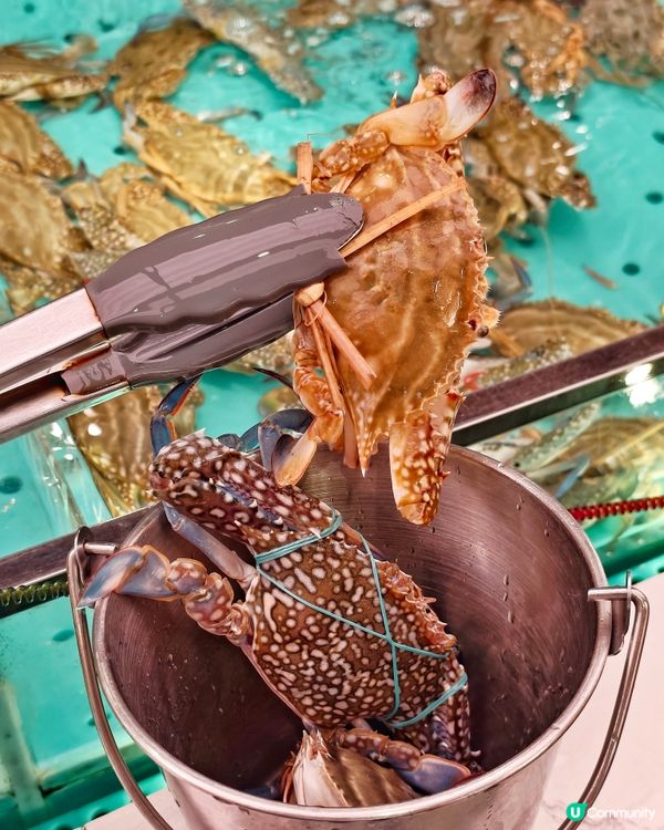 頂流👍海鮮🦀火鍋🦪放題