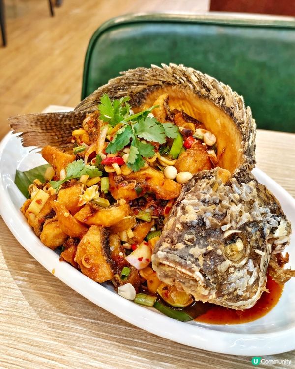 新派🤩fusion🇹🇭泰滋味