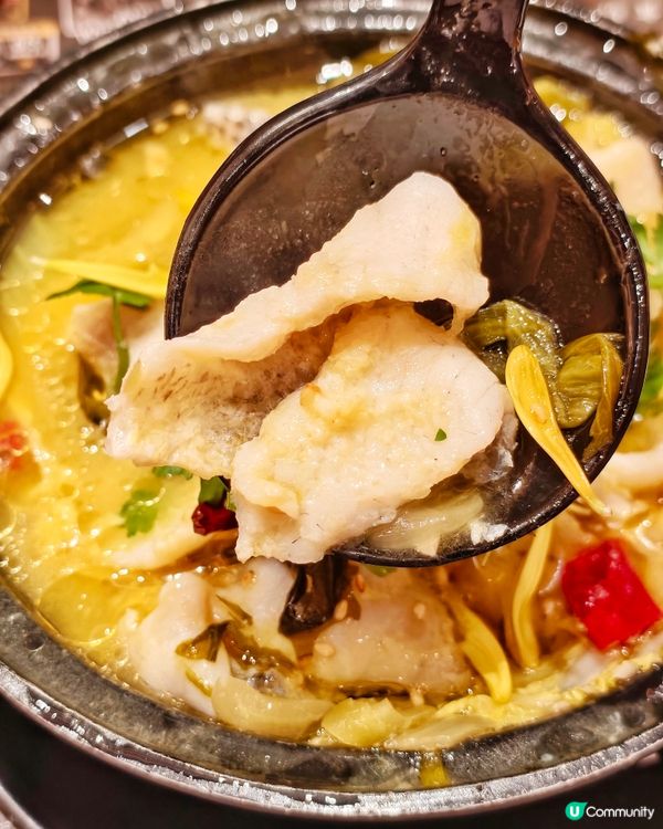 矜貴🤩食材🐟日式🇯🇵放題