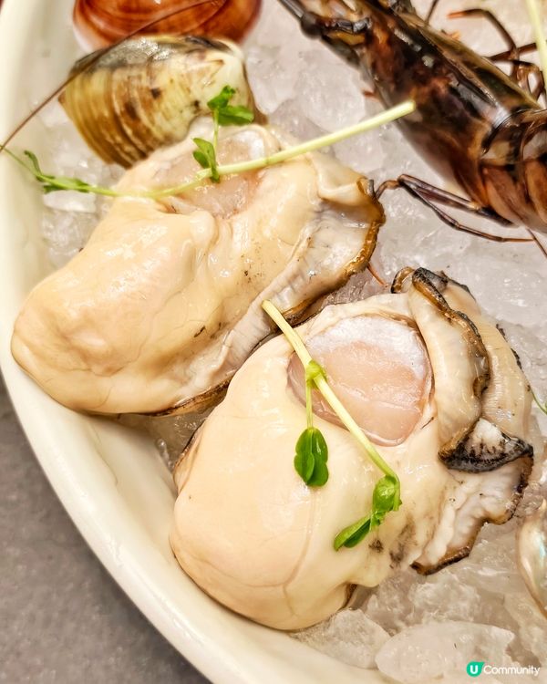 高質🐟刺身😍鮮料🍲火鍋