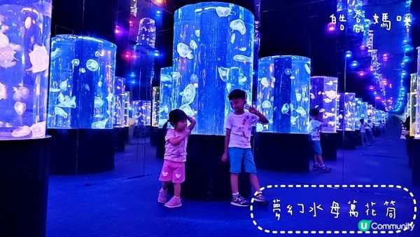 荃灣海洋保育體驗推介，齊齊學習水母知識同放電啦！