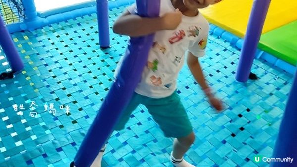 荃灣海洋保育體驗推介，齊齊學習水母知識同放電啦！