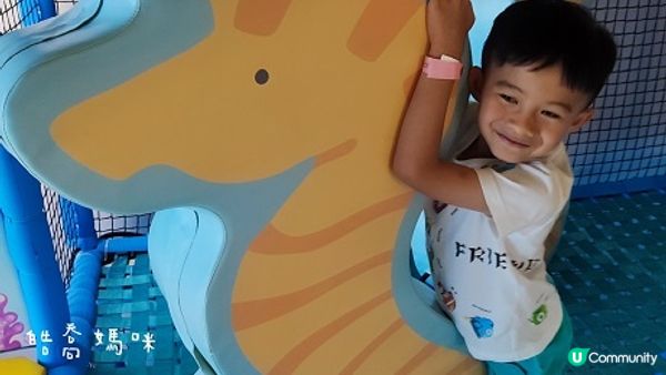 荃灣海洋保育體驗推介，齊齊學習水母知識同放電啦！