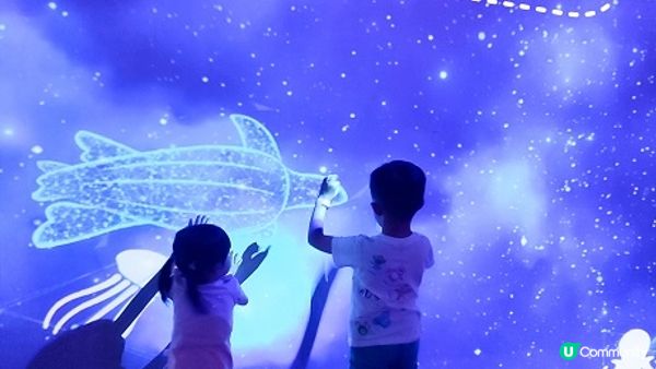 荃灣海洋保育體驗推介，齊齊學習水母知識同放電啦！