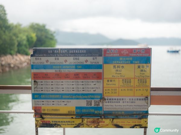 東平洲一日遊！🌊 碼頭出發！😎