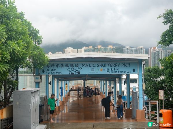 東平洲一日遊！🌊 碼頭出發！😎